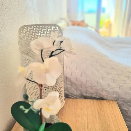 Stunning With Private Bathroom And Shared Balcony, Mainly With 2 Adorable Cats And A Sweet Dog! Homestay szállás *