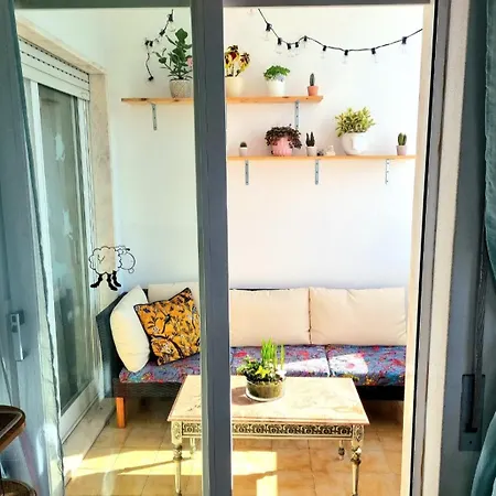 Stunning With Private Bathroom And Shared Balcony, Mainly With 2 Adorable Cats And A Sweet Dog! * Lagos