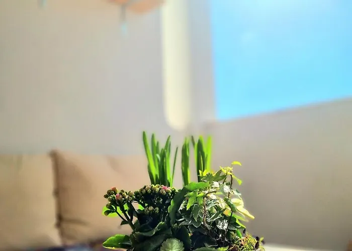 Stunning Room With Private Bathroom And Shared Balcony, Mainly With 2 Adorable Cats And A Sweet Dog! *