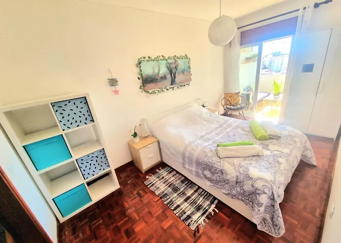 Stunning Room With Private Bathroom And Shared Balcony, Mainly With 2 Adorable Cats And A Sweet Dog! * Lagos