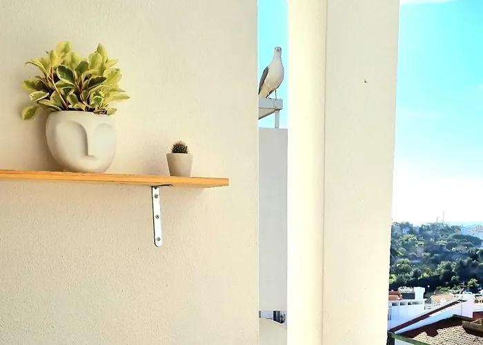 Stunning Room With Private Bathroom And Shared Balcony, Mainly With 2 Adorable Cats And A Sweet Dog!