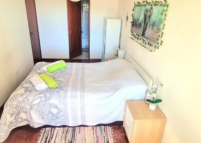 Stunning With Private Bathroom And Shared Balcony, Mainly With 2 Adorable Cats And A Sweet Dog! Homestay *