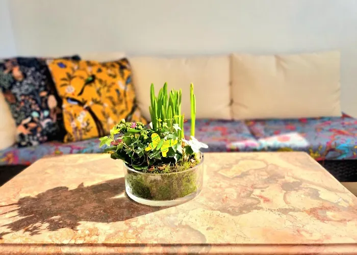 Stunning Room With Private Bathroom And Shared Balcony, Mainly With 2 Adorable Cats And A Sweet Dog! * Lagos