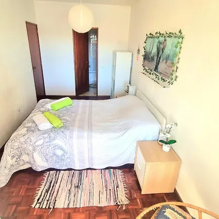 Stunning Room With Private Bathroom And Shared Balcony, Mainly With 2 Adorable Cats And A Sweet Dog! Homestay *