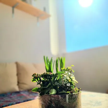 Stunning Room With Private Bathroom And Shared Balcony, Mainly With 2 Adorable Cats And A Sweet Dog! *