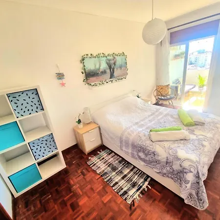 Stunning Room With Private Bathroom And Shared Balcony, Mainly With 2 Adorable Cats And A Sweet Dog! * Lagos