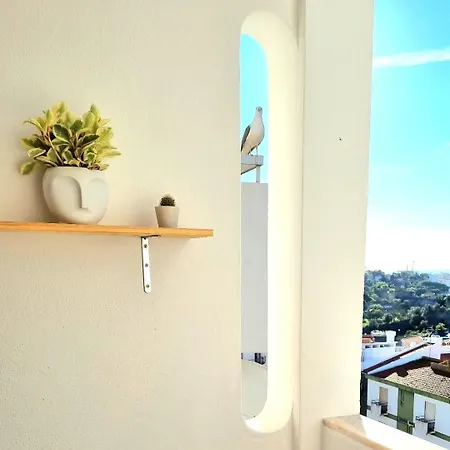 Stunning With Private Bathroom And Shared Balcony, Mainly With 3 Adorable Cats!