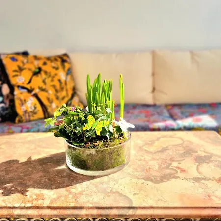 Stunning Room With Private Bathroom And Shared Balcony, Mainly With 2 Adorable Cats And A Sweet Dog! * Lagos