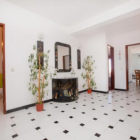 Stunning Room With Private Bathroom And Shared Balcony, Mainly With 2 Adorable Cats And A Sweet Dog!